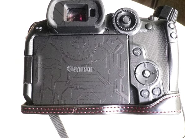 ペンタックス Optio RZ10で撮影された写真 - 価格.com