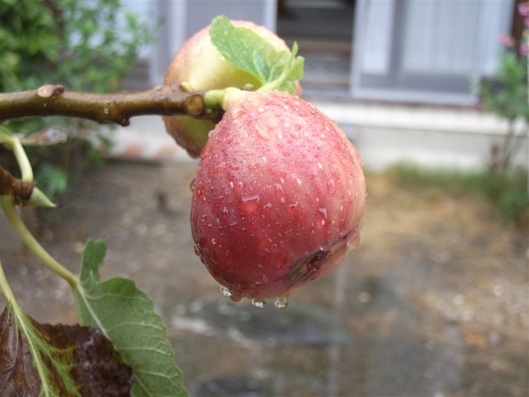 リコー Caplio GX8のクチコミ - 価格.com 