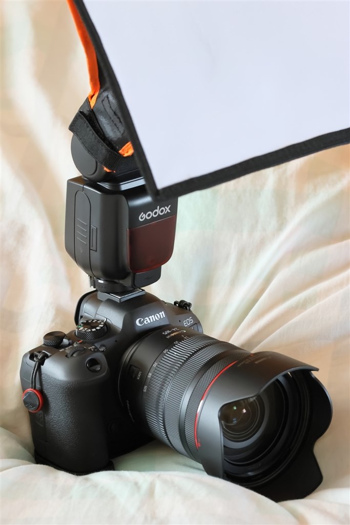 勢いでRから買い替え・でも満足です(笑)』 CANON EOS R6 Mark II