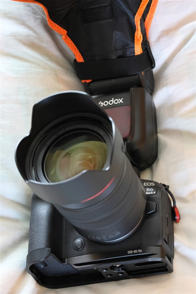 勢いでRから買い替え・でも満足です(笑)』 CANON EOS R6 Mark II