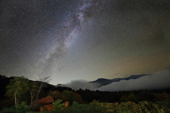 Vixen ポータブル赤道儀 星空雲台 ポラリエ POLARIE ビクセン Vixen ポータブル赤道儀 星空雲台ポラリエU(WT) | ビクセン Vixen