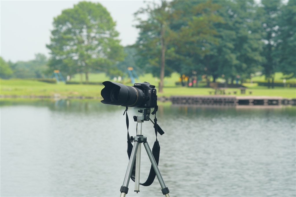 LA-EA5＋ミノルタレンズとの組み合わせで使えますか？』 SONY α7C II