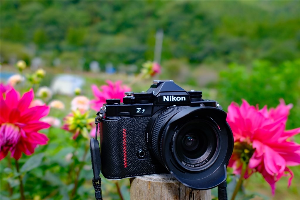 コスパ最高のレンズです』 ニコン NIKKOR Z 24-50mm f/4-6.3 の