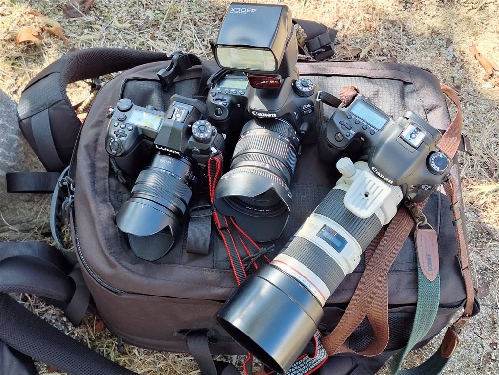 老兵を引っ張りだして運動会撮影』 CANON EOS 7D ボディ のクチコミ