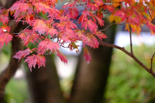 富士フイルム FUJIFILM X-S20 XC15-45mmレンズキット 日英2言語