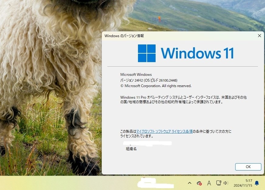 Win 11 Insider Preview 26100.2448 (Release Preview)』 クチコミ