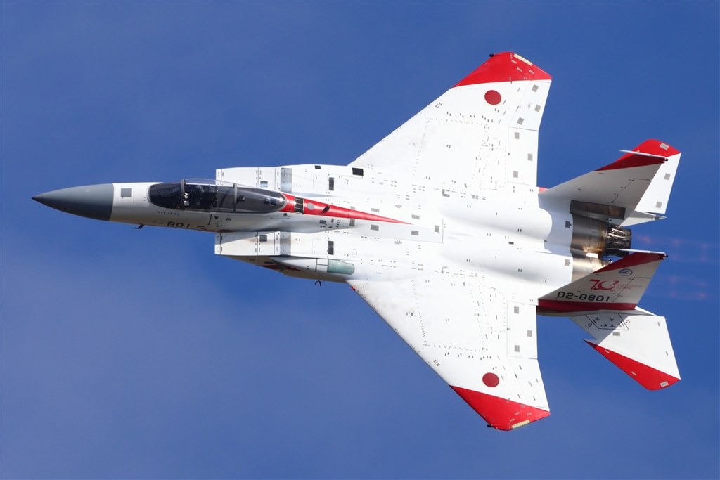 EOS R10での使用感』 シグマ 150-600mm F5-6.3 DG OS HSM Contemporary