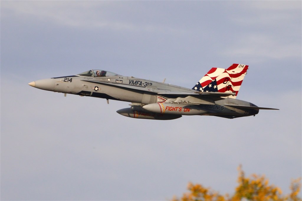 EOS R10での使用感』 シグマ 150-600mm F5-6.3 DG OS HSM Contemporary