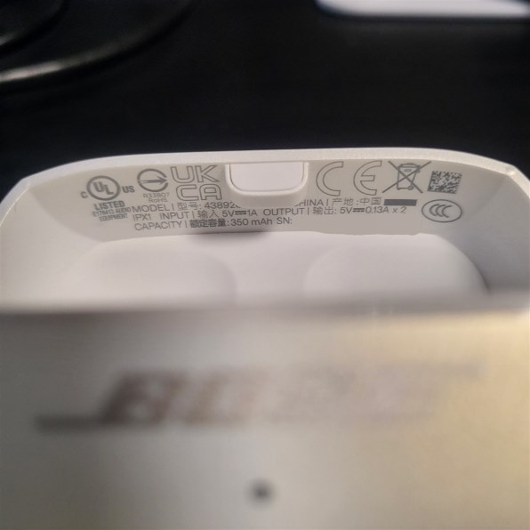 Bose Ultra Open Earbuds [ムーンストーンブルー]投稿画像・動画