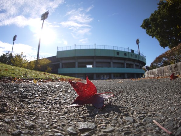 LUMIX DMC-GF3 【作例あり】 LUMIX DMC-GF3で撮影された写真 | 写真