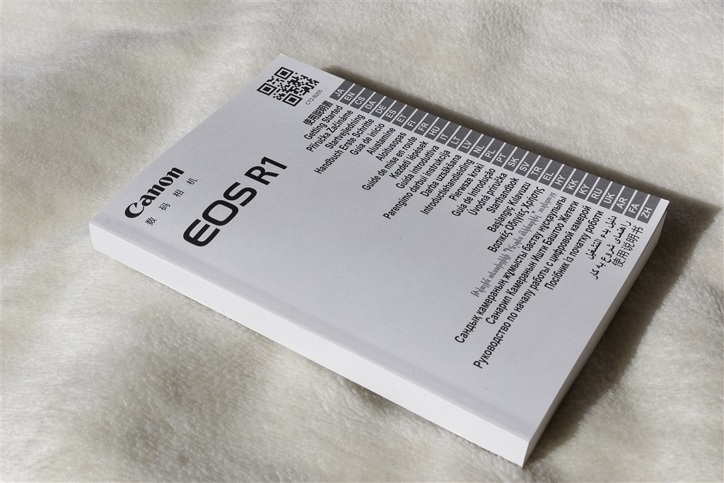 美品キャノンEOSR10 ボディーのみ　箱、説明書 今すぐ使えるかんたんmini Canon EOS R10 基本＆応用 撮影ガイド