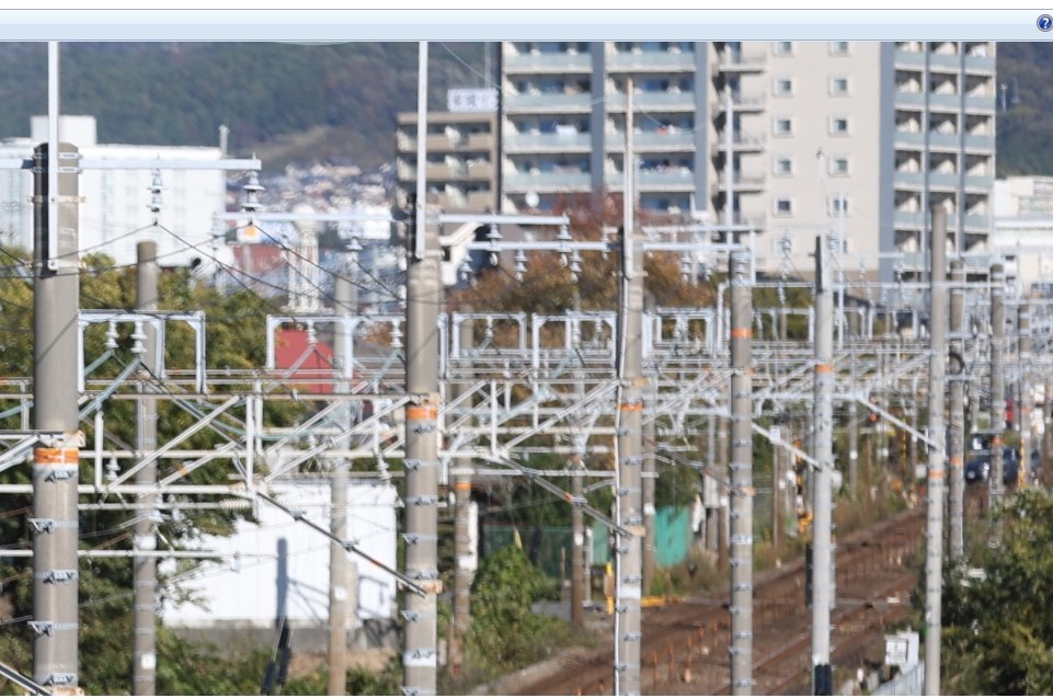 EF70-200mm F2.8L IS III USMで、このボケ味は仕様でしょうか