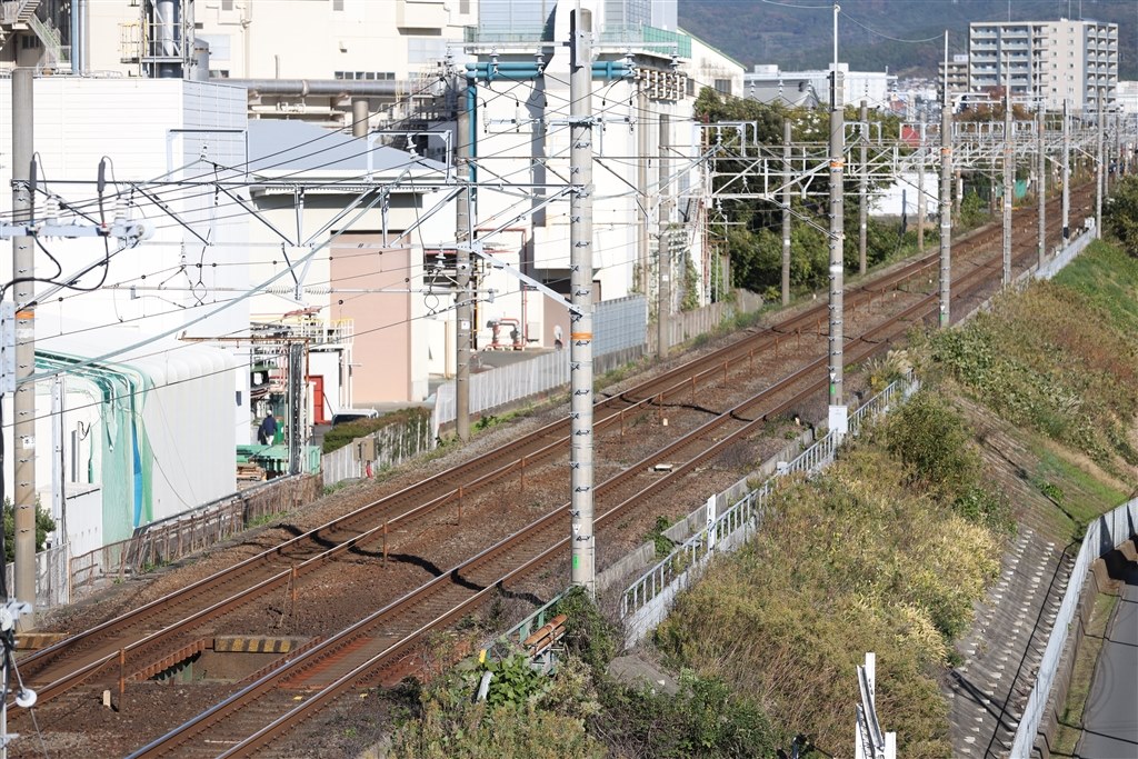EF70-200mm F2.8L IS III USMで、このボケ味は仕様でしょうか