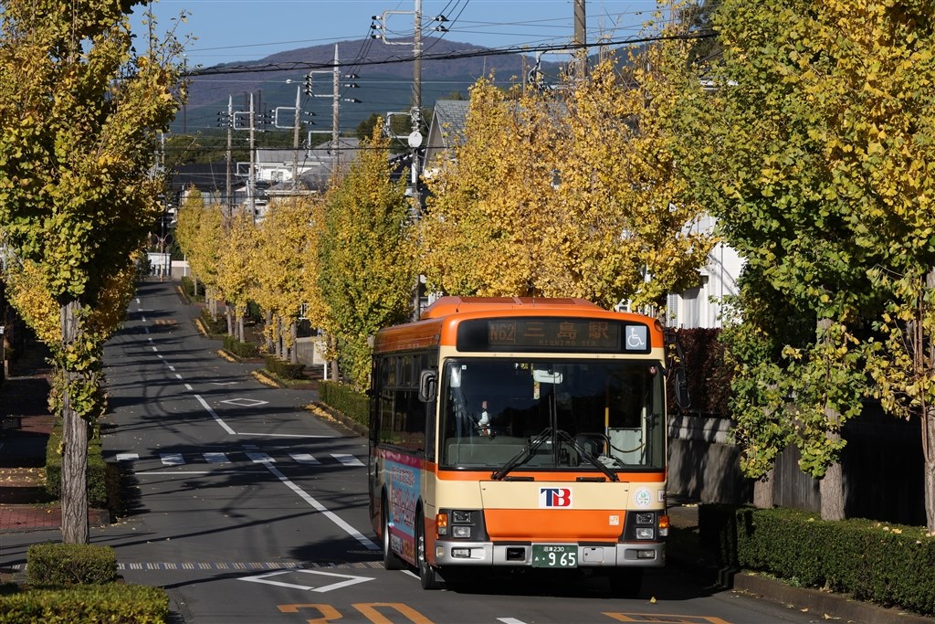 EF70-200mm F2.8L IS III USMで、このボケ味は仕様でしょうか