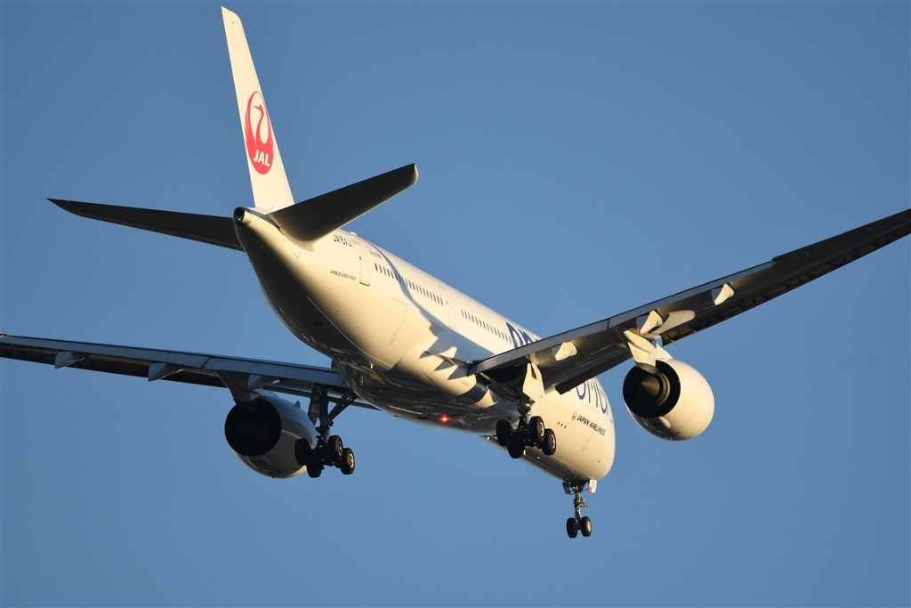 Nikon D7500＆高倍率ズーム レンズ (シャッター回数10,777) AF