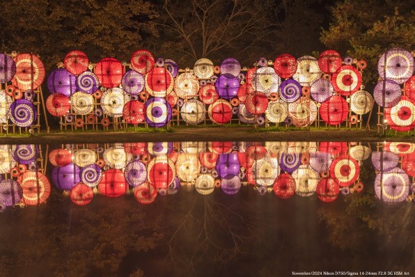 ニコン AF-S NIKKOR 14-24mm f/2.8G EDで撮影された写真 - 価格.com