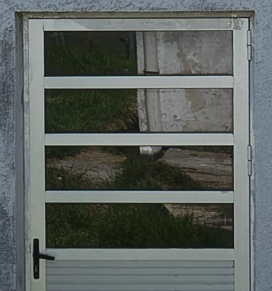 SONY FE 28-70mm F3.5-5.6 OSS SEL2870投稿画像・動画 - 価格.com