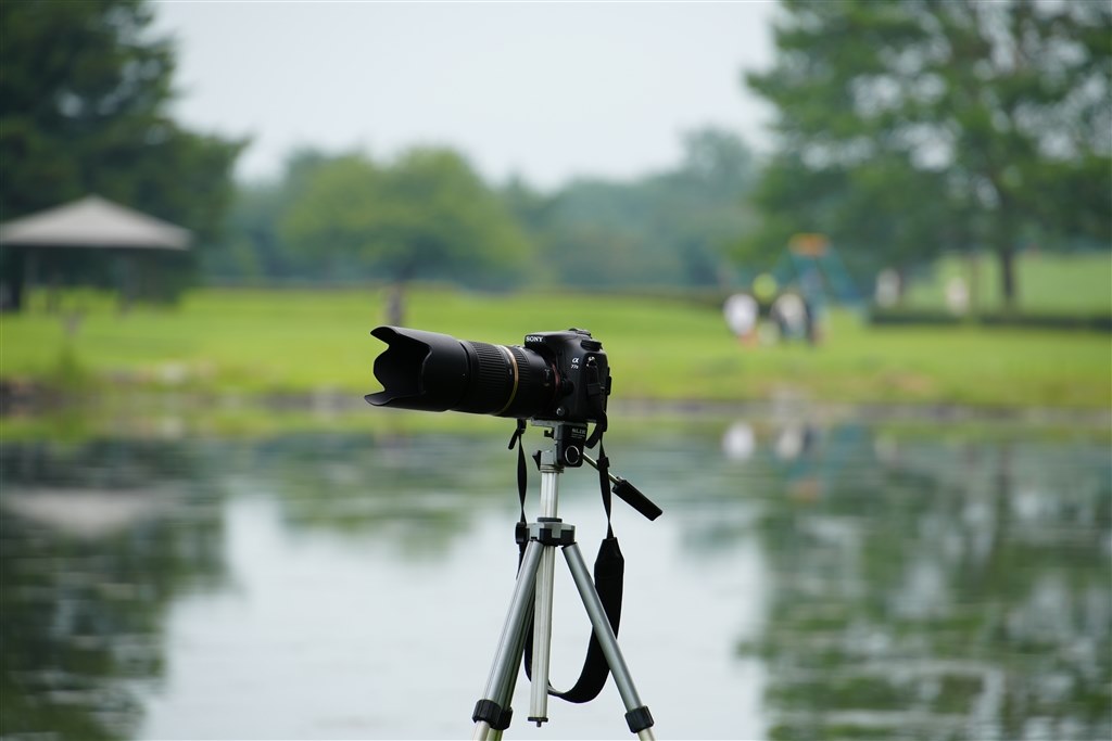 背景ボケさせたいならコレ一択！Canon EF 50mm f1.8 II 単焦点