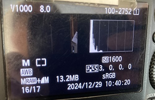 ハイスピードシンクロ（日中シンクロ）』 CANON EOS 5D Mark III