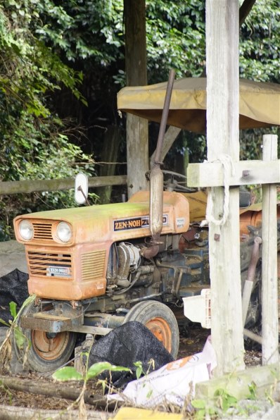 コニカ ミノルタ AFズーム24-105mmF3.5-4.5(D)で撮影された写真 - 価格.com