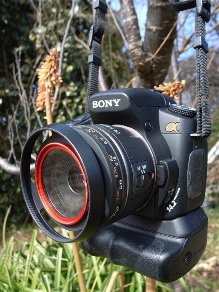 リコー GR DIGITALで撮影された写真 - 価格.com