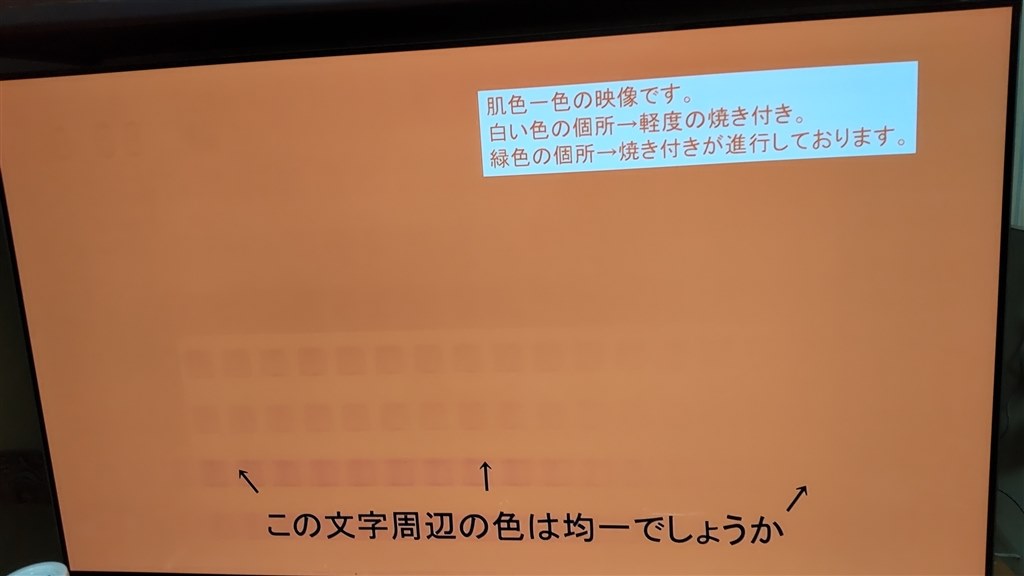 焼き付き』 TVS REGZA REGZA 48X9400S [48インチ] のクチコミ掲示板