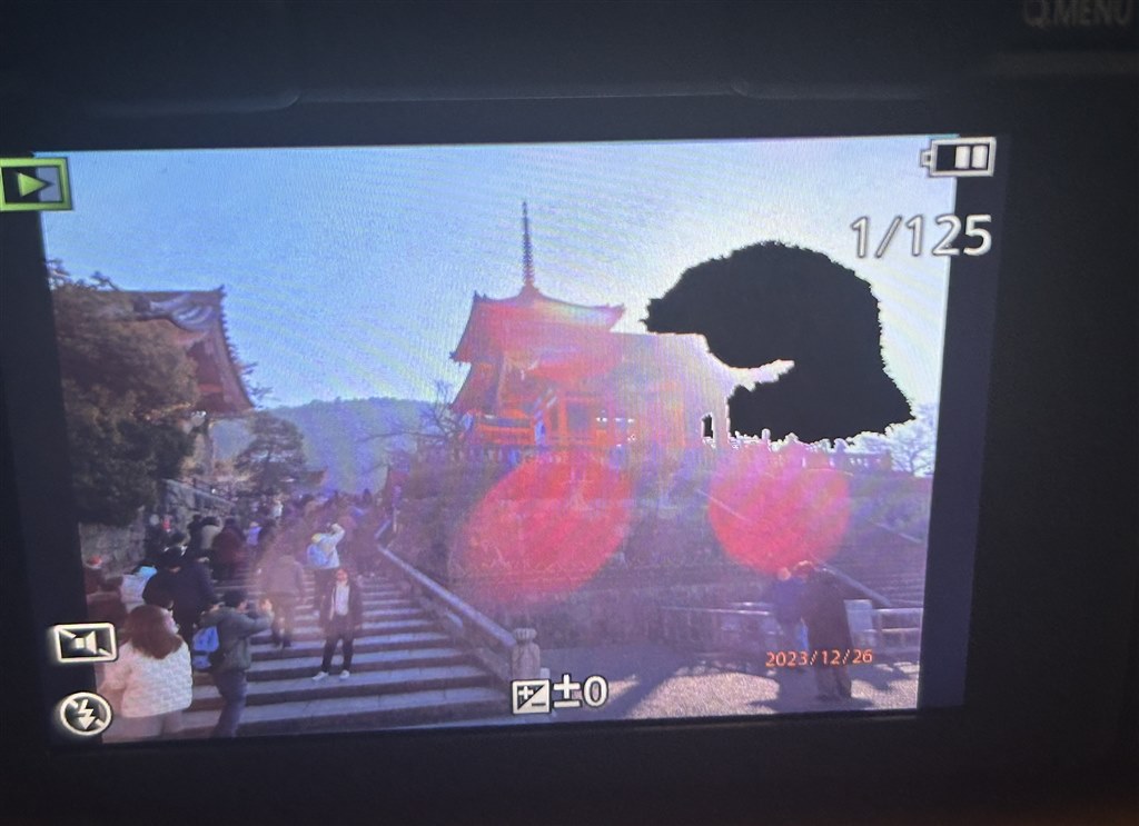 撮った写真が見れない』 パナソニック LUMIX DMC-FZ1000 のクチコミ