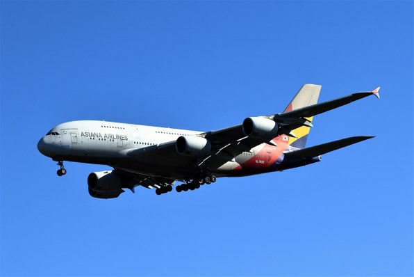 Canon EF70-300mm f4-5.6L IS USM【作例あり】 EF70-300mm F4-5.6 IS II USMで撮影された写真 | 写真検索 | GANREF