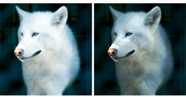 パナソニック LUMIX DMC-FZ1000投稿画像・動画 - 価格.com