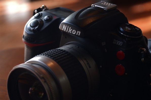 ニコン D100 ボディで撮影された写真 - 価格.com