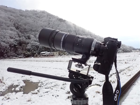 【テレコン付き】M.ZUIKO 300mm F4.0 IS PRO Supremacy In Single Focus Lens #5｜OLYMPUS M.ZUIKO DIGITAL