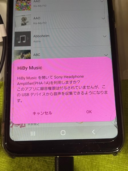 極美品】Cayin N6II A01 DAP 濃厚なAKMサウンド カイン N6ii DAP/A01