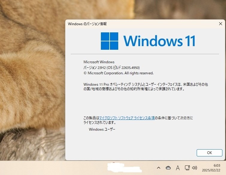 Win11(β)22635.4950 Update』 クチコミ掲示板 - 価格.com