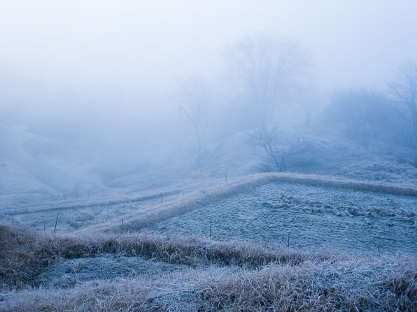 富士フィルム FinePix F200EXR　作例あり 富士フイルム FinePix F200EXR投稿画像・動画 (レビュー) - 価格.com