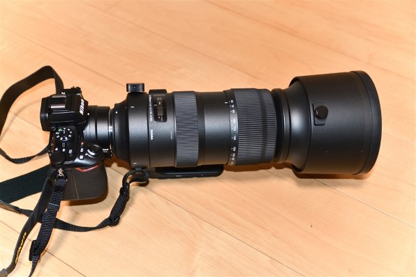 Amazon.co.jp: [LSDZW] フォトフレーム 2L ハガキ判も可 写真集 写真立て 大きい 2L判 2Lサイズ 立体感 ナチュラル  フォトフレーム 壁掛け 卓上 掛ける 7サイズ 木製 ポストカード 台紙付き ウッドフレーム シンプル おしゃれ かわいい 北欧 10*15cm  カフェ 