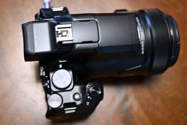 ニコン COOLPIX P1100投稿画像・動画 - 価格.com ニコン COOLPIX P1100投稿画像・動画 - 価格.com