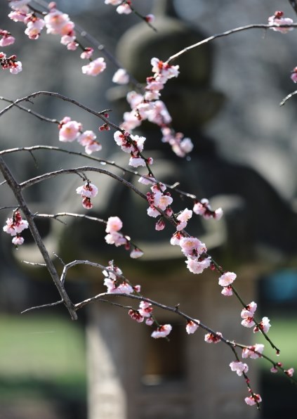 CANON EF180mm F3.5L マクロ USMで撮影された写真 - 価格.com CANON EF180mm F3.5L マクロ USMで撮影された写真 - 価格.com