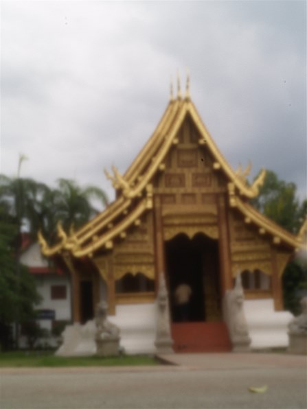 オリンパス E-500 バリューキットで撮影された写真 - 価格.com