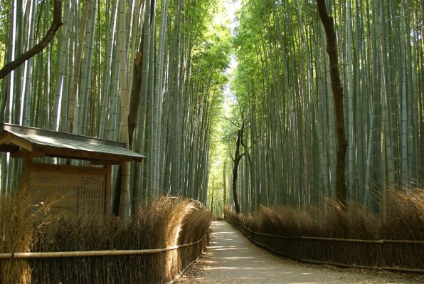 SONY α100 DSLR-A100W Wズームレンズキット 価格比較 - 価格.com