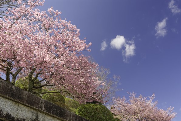 【値下げ中】　AF-S DX Zoom-Nikkor 12-24mm Amazon.com : Nikon AF-S DX NIKKOR 12-24mm f/4G IF-ED Zoom