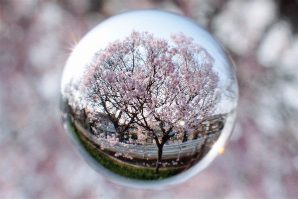 その他 DT30F2.8MACRO SAM DT 30mm F2.8 Macro SAM | SAL30M28 | Sony Canada