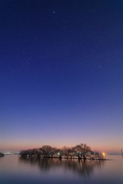 ニコン AF-S DX Zoom-Nikkor 12-24mm f/4G IF-EDで撮影された
