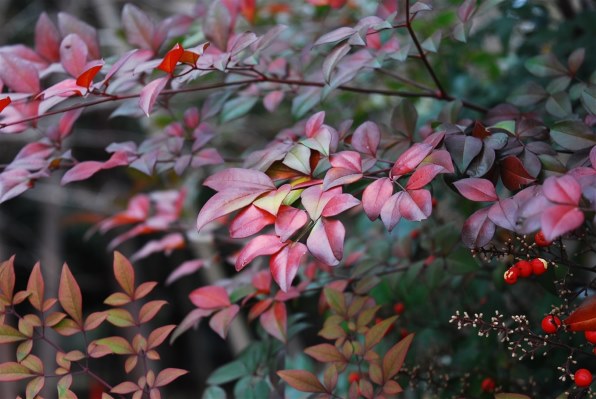 J01[6911B]☆美品☆ ニコン Nikon D40X ボディ 18-55mm レンズ