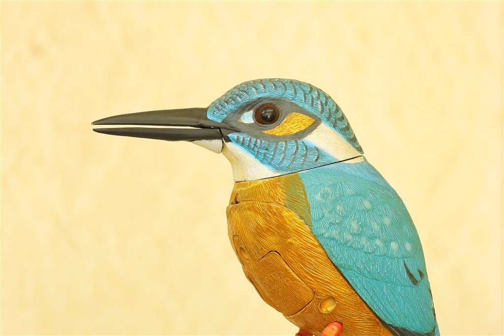 エクステンダー使用について』 CANON RF200-800mm F6.3-9 IS USM の