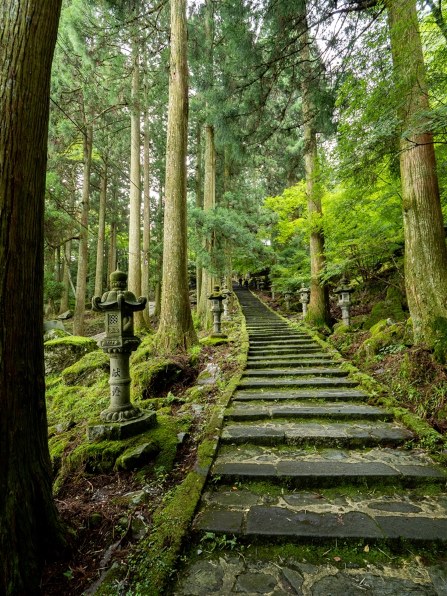 パナソニック LEICA DG VARIO-ELMARIT 8-18mm/F2.8-4.0 ASPH. H-E08018