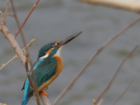 Panasonic/パナソニック LUMIX DC-FZ85 4KPHOTO デジタルカメラ LUMIX DC-FZ85 発売 | 個人向け商品 | 製品・サービス