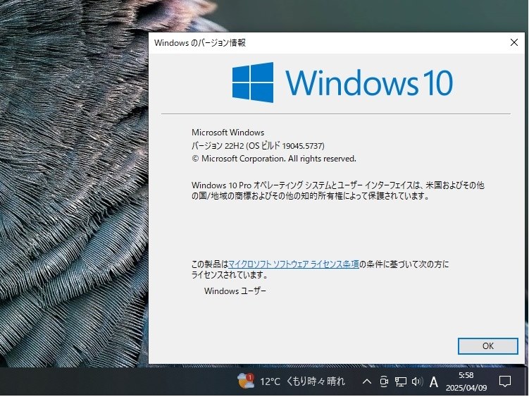 Win 10 Insider Preview 22H2 19045.5737 (Release Preview