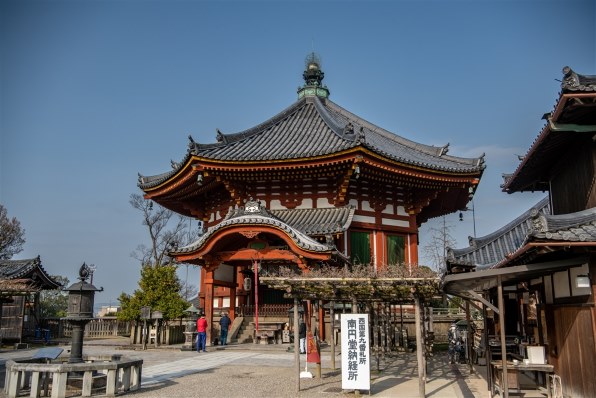 ニコン D850 ボディで撮影された写真 - 価格.com ニコン D850 ボディで撮影された写真 - 価格.com