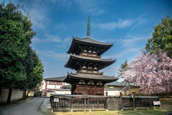 ニコン D850 ボディで撮影された写真 - 価格.com ニコン D850 ボディで撮影された写真 - 価格.com
