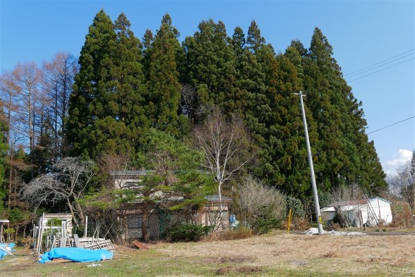 パナソニック LUMIX G X VARIO 12-35mm/F2.8 ASPH./POWER O.I.S. パナソニック LUMIX G X VARIO 12-35mm/F2.8 ASPH./POWER O.I.S.